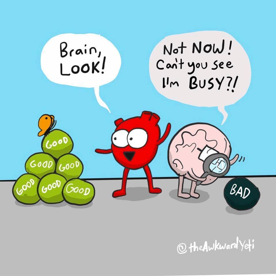 Who REALLY knows what they want to do??